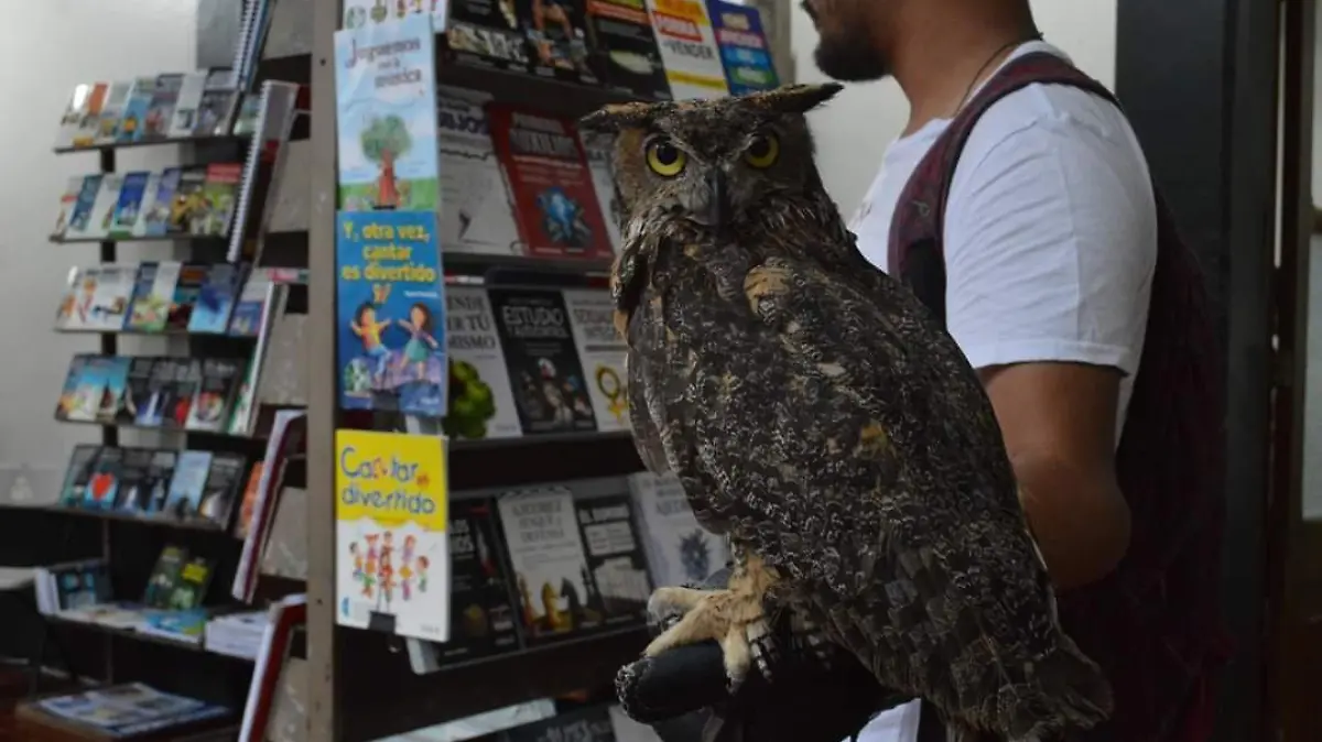 Cancelan actividades presenciales de la Feria del Libro Infantil y Juvenil de Xalapa